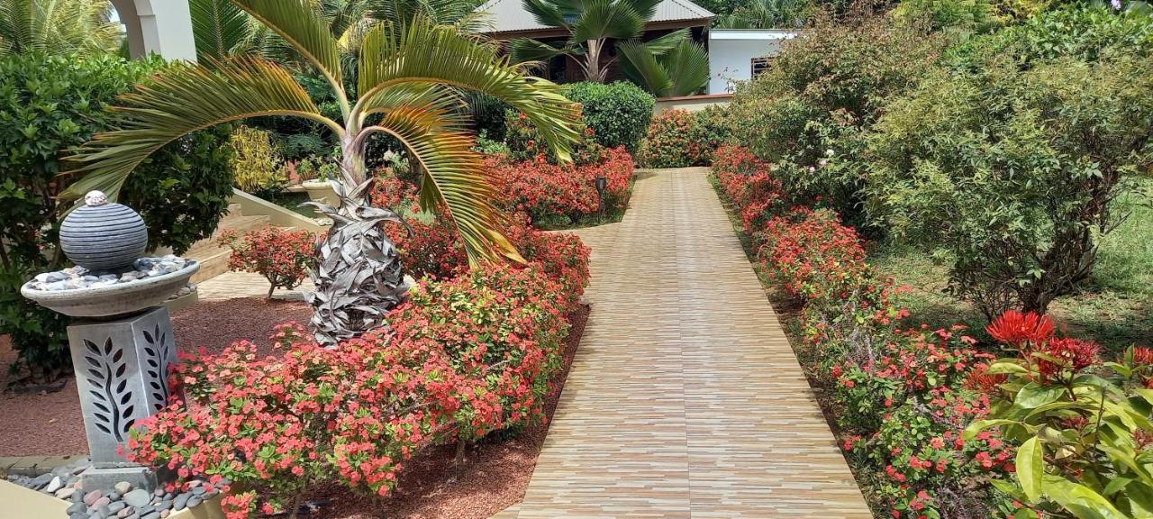 Apartment Garden View