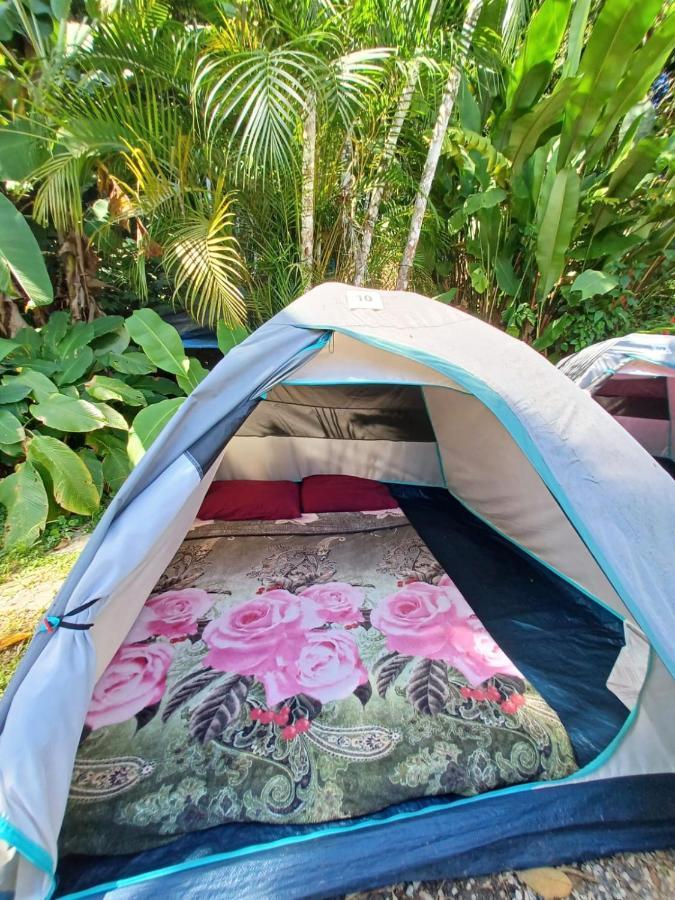 Tenda