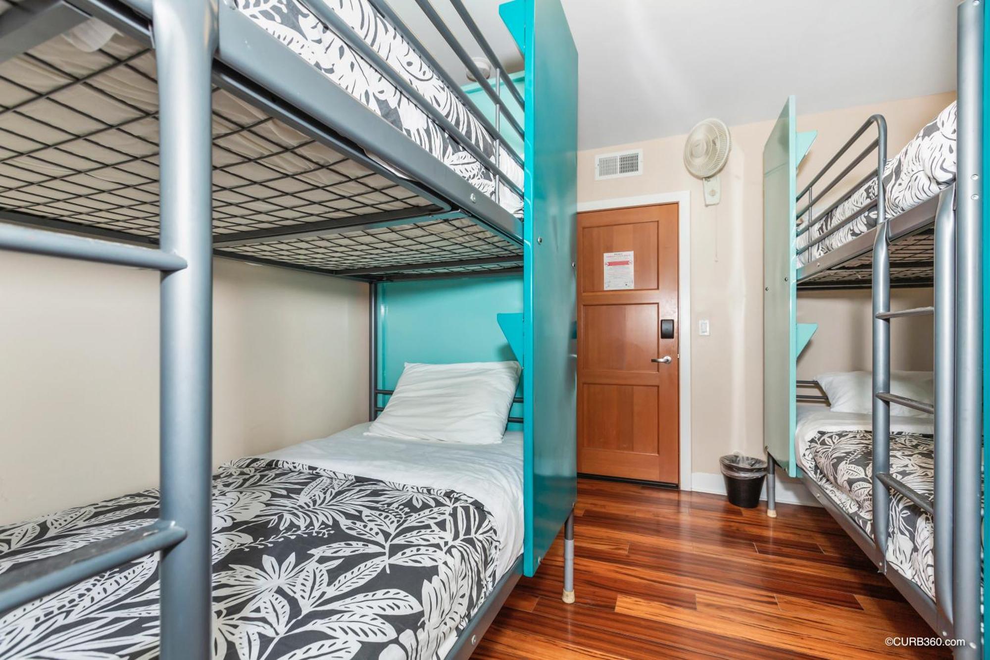 2 Bed 4-Bed Dorm