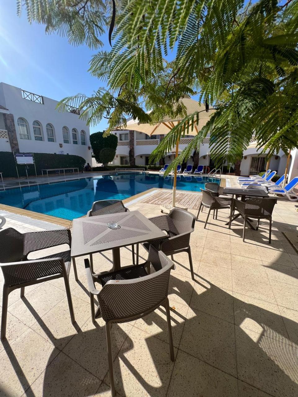 King Room Pool View