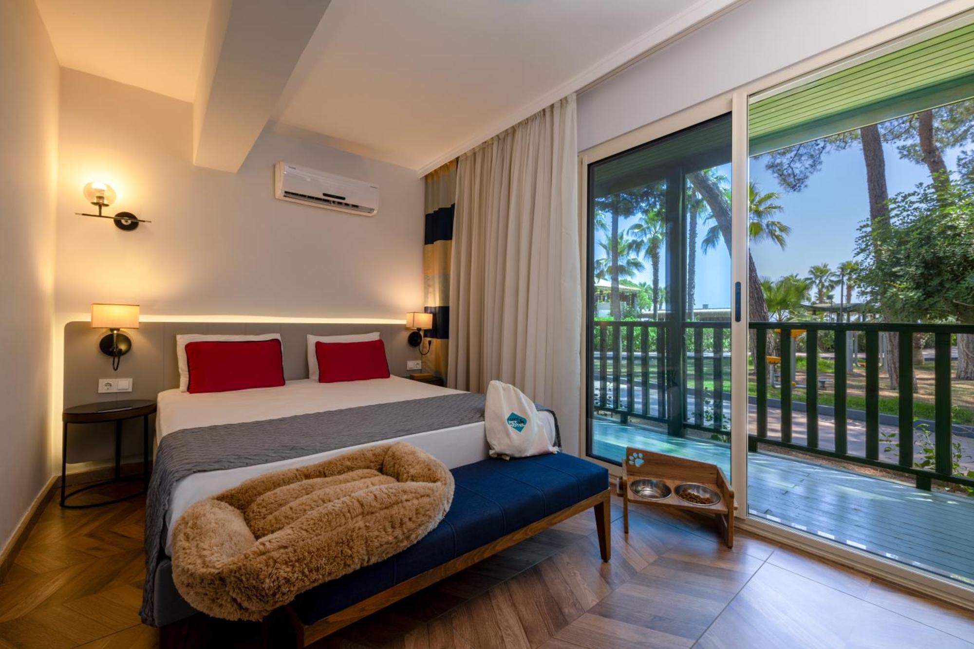 Standard Double Room,1698911565:JPEG