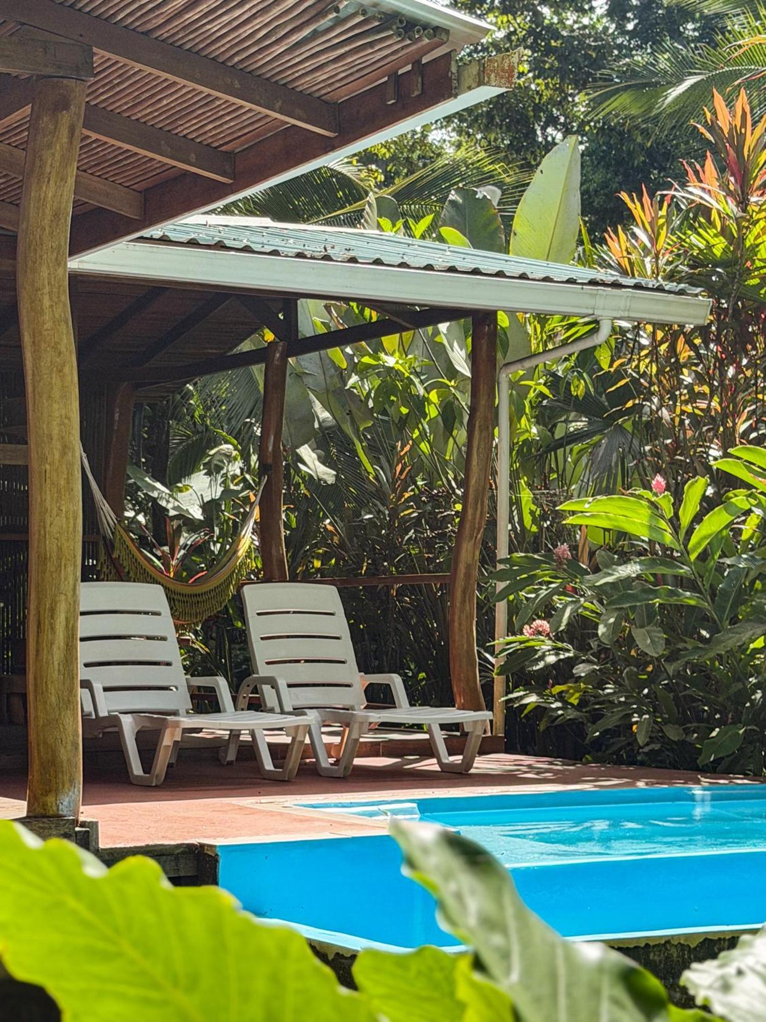 Deluxe Bungalow Garden View