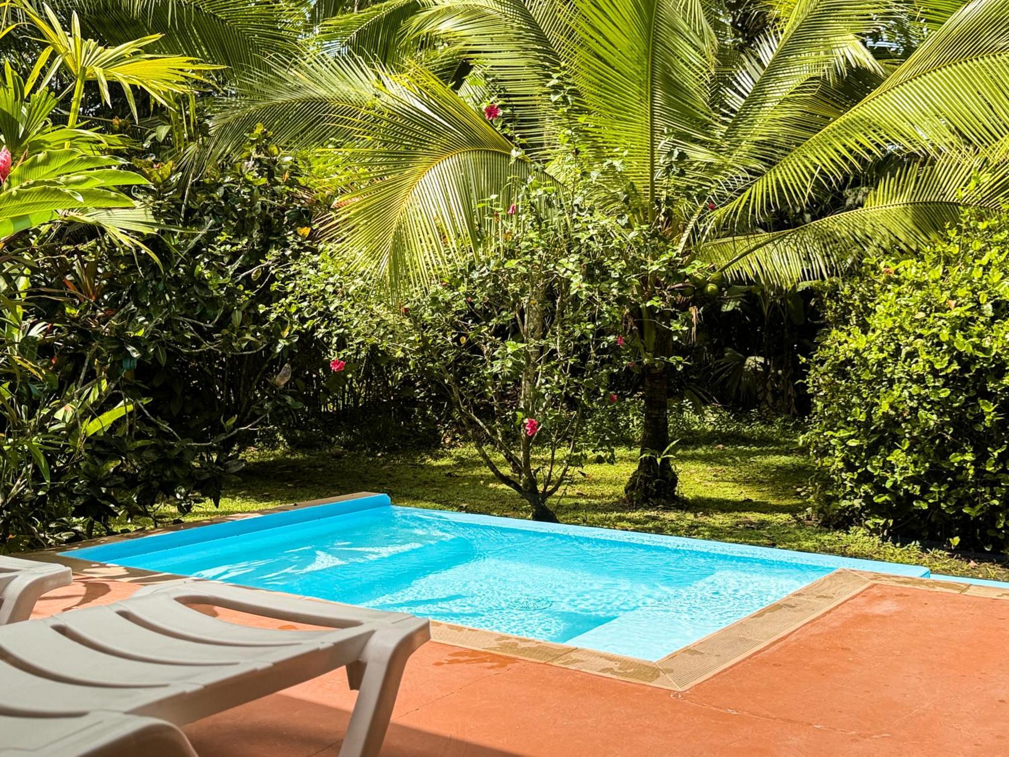 Deluxe Bungalow Garden View