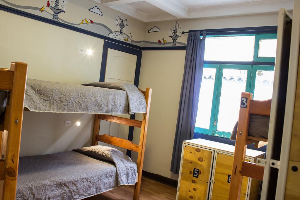 Single Bed Mixed Dormitory Room