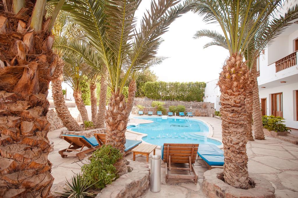 Superior Double or Twin Room Pool View Ground Floor