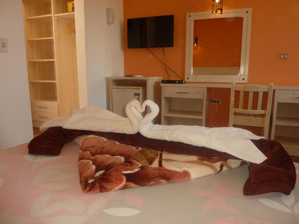 Superior Double or Twin Room Pool View Ground Floor