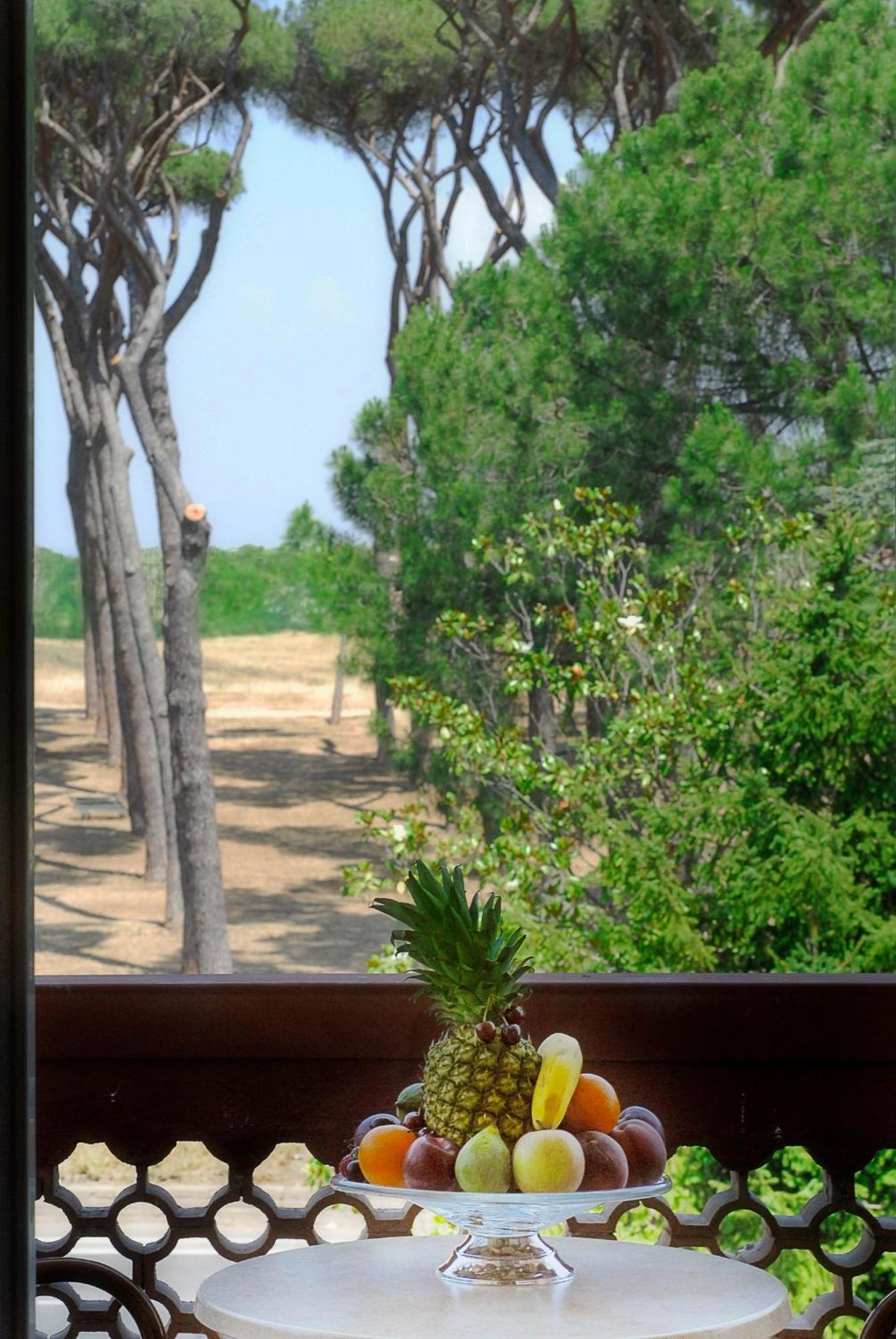 Double or Twin Room Garden View