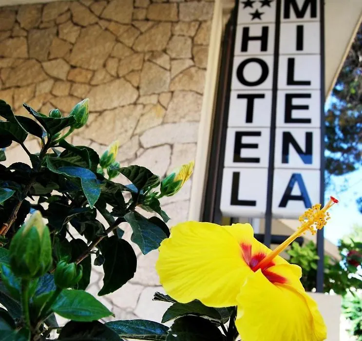 Hotel Milena-1