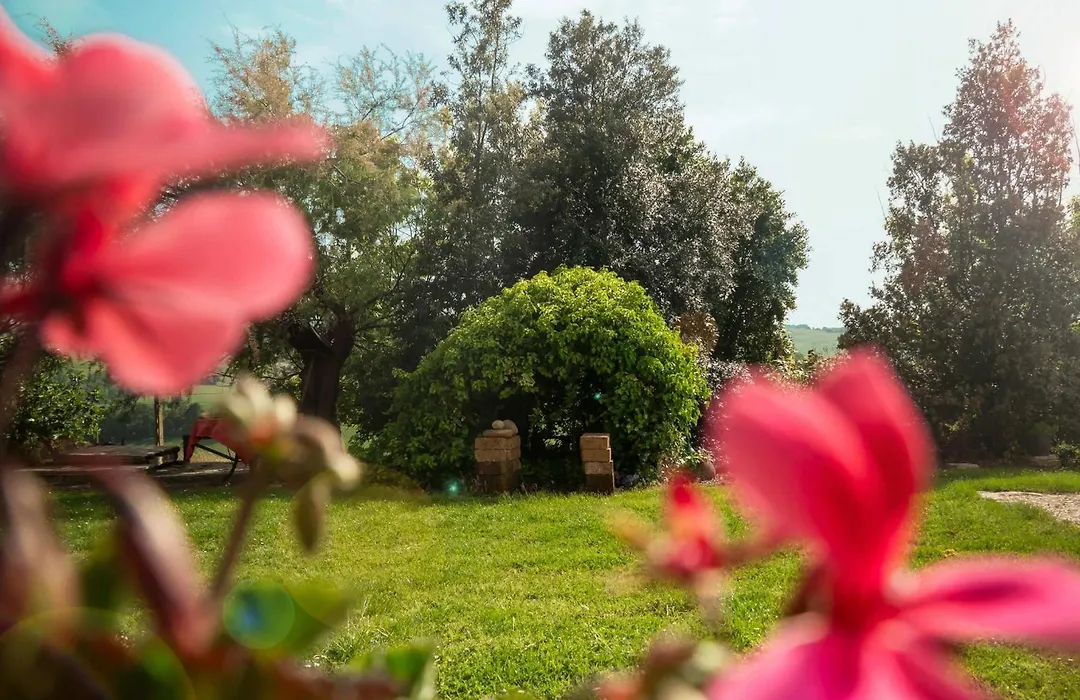 B&B Aesis La Dolce Collina-1
