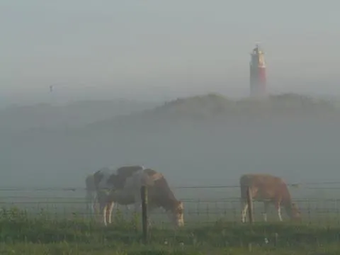 duin/vuurtorenzicht-1