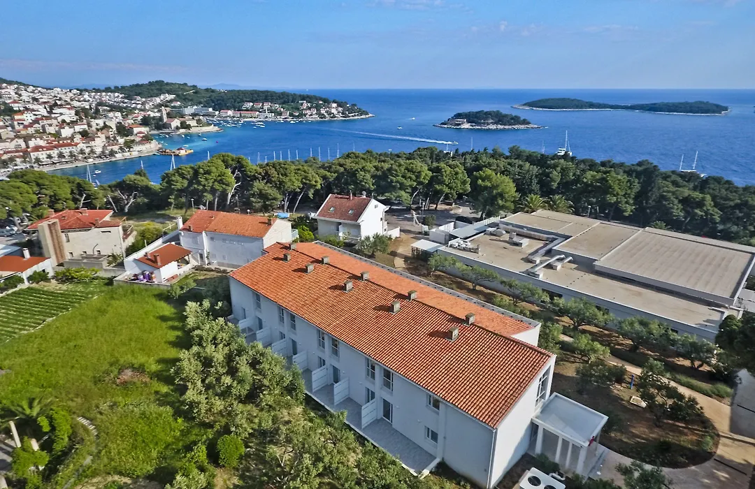 Violeta Hvar-1