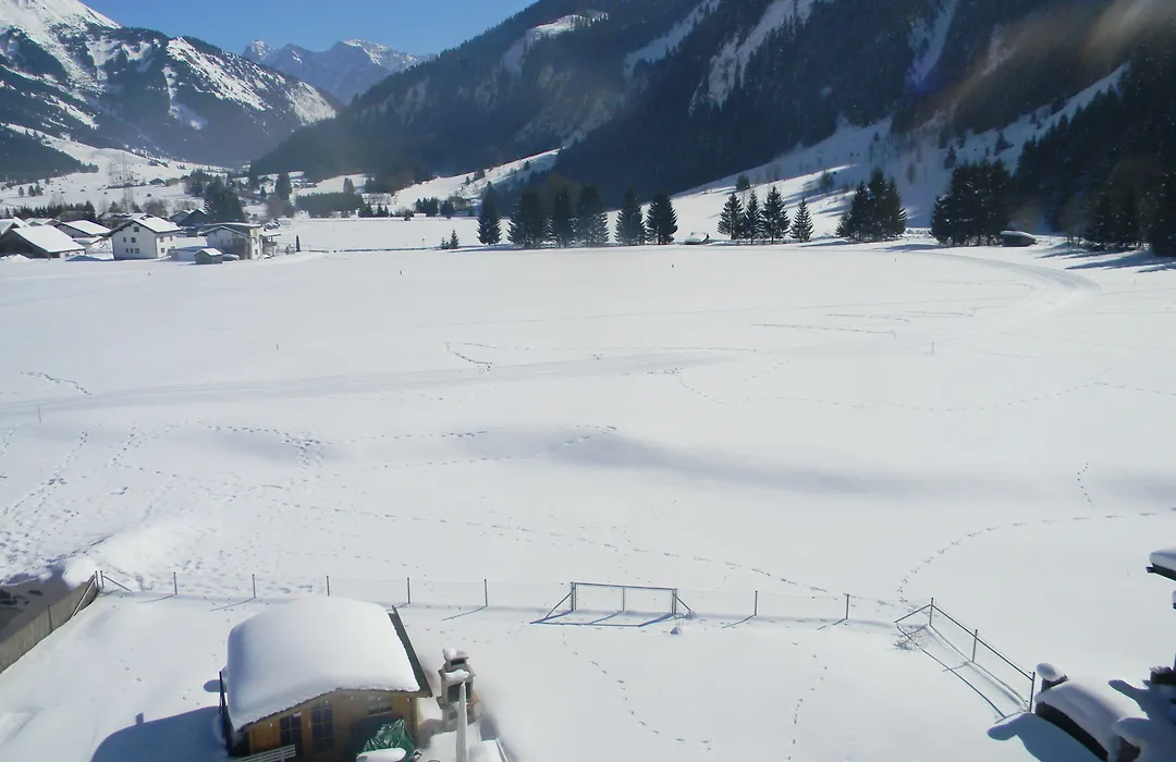 Alpin Resort Austria-1