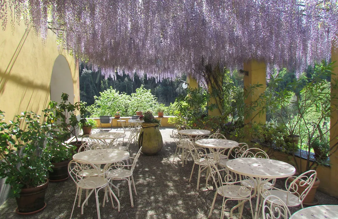 Villanova - Nature & Wellness-1
