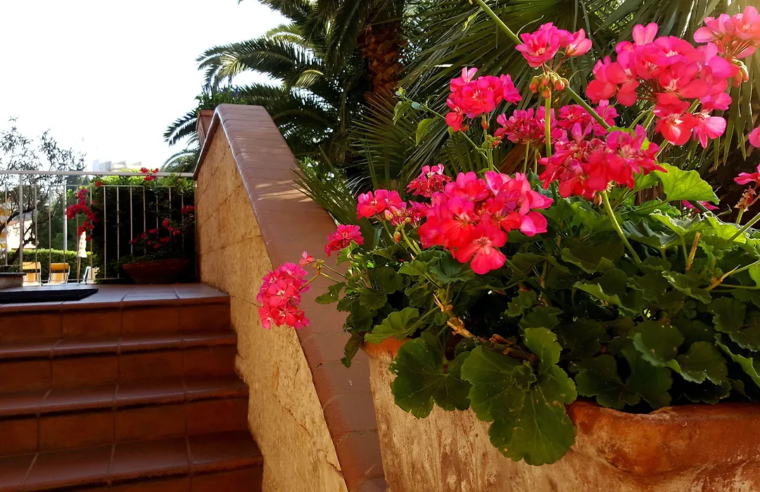 Residence Orchidea-1