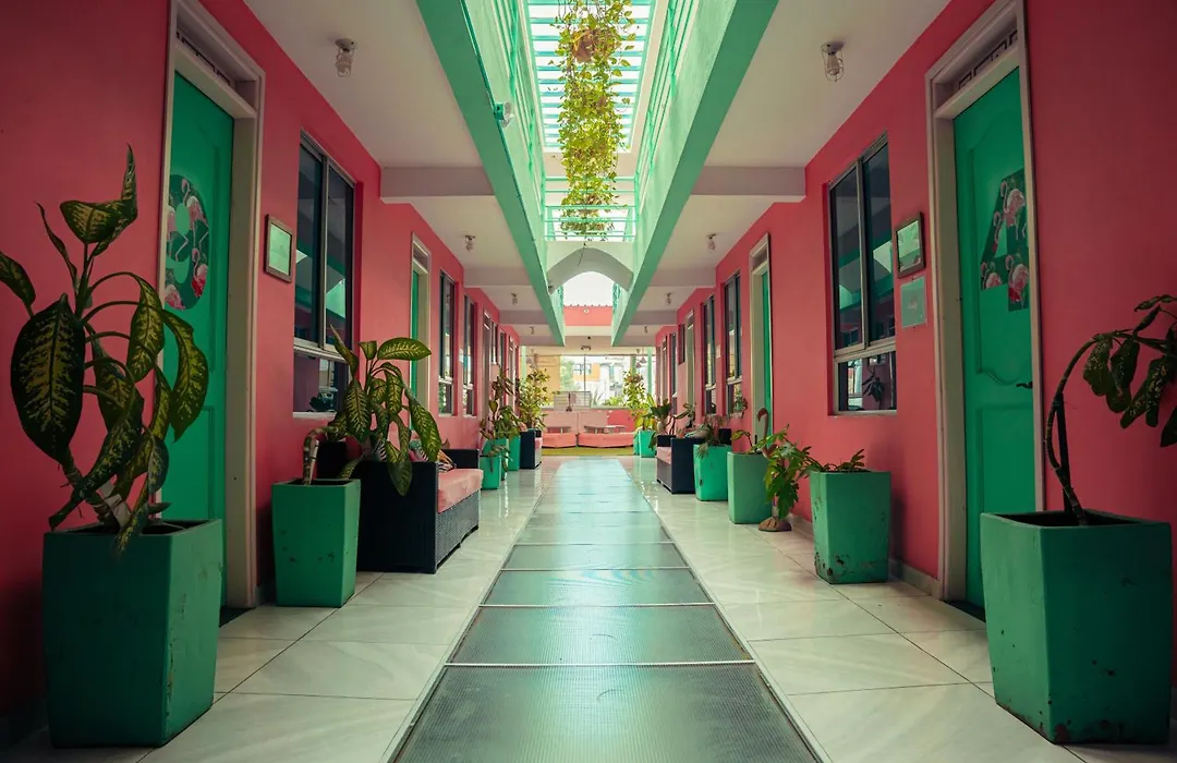 La Brisa Loca Hostel-1
