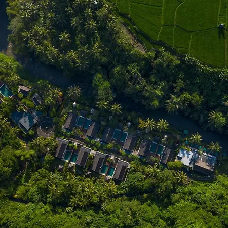 The Samaya Ubud-3