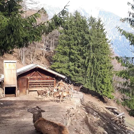 Hotel Ortles Dolomiti Walking & Spa-3