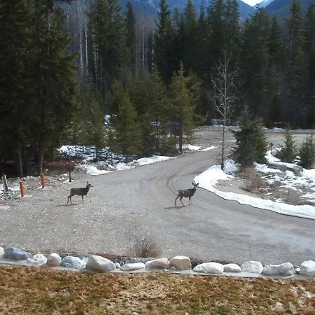 Glenogle Mountain Lodge-2