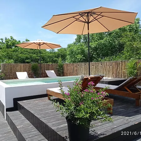 Che Suites Playa (Adults Only)-3