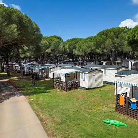 Albatross Mobile Homes On Camping Bi Village-3