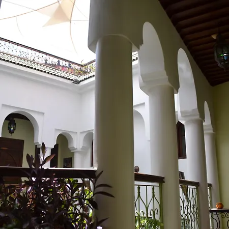 Riad Alida-2