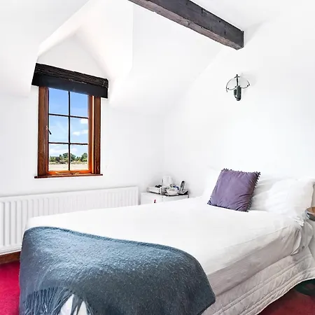 The Honest Lawyer, An Ascend Collection Hotel-2