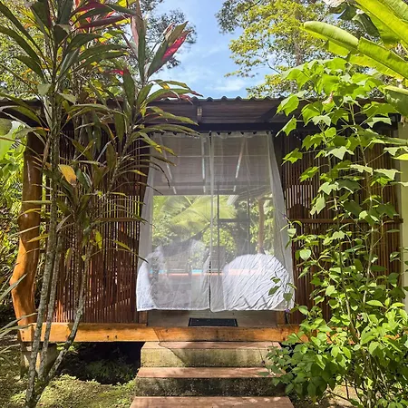 La Rana De Cahuita-2