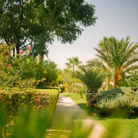 Be Live Collection Marrakech Adults Only All Inclusive-3