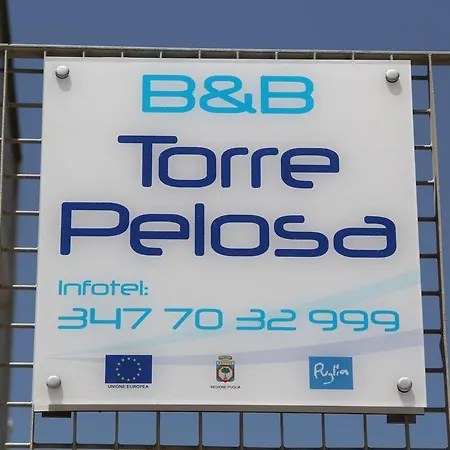 B&B Torre Pelosa-2