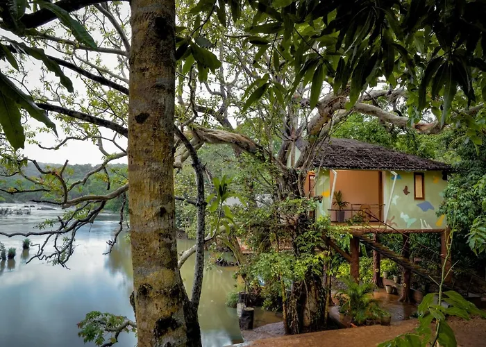 Whistling Woodzs Resort
