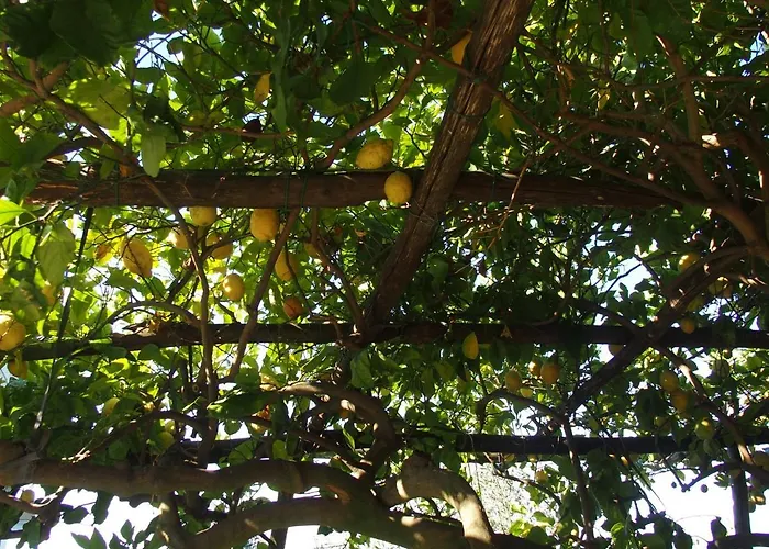 Giardino Sul Mare
