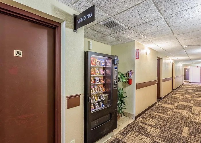 Tropical Palms Hotel