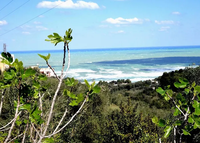 Residenza Piccolo Uliveto