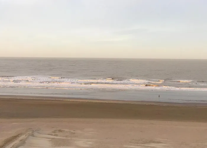 Sea And Dunes