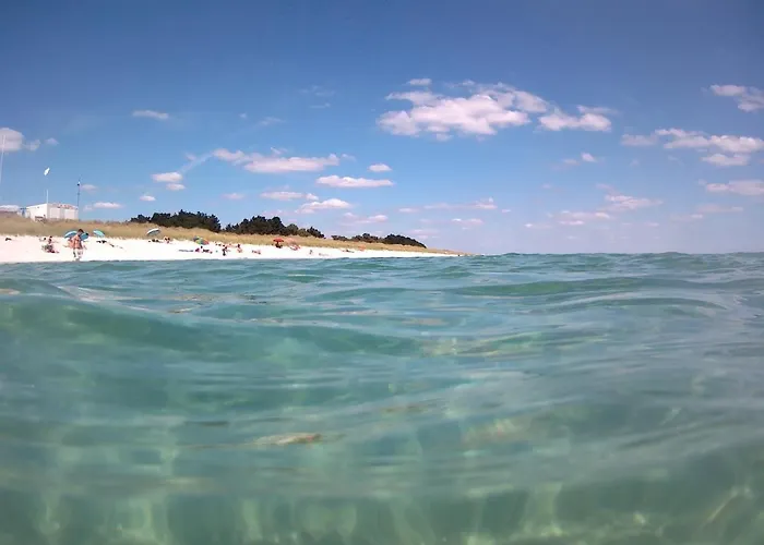 Entre terre et mer