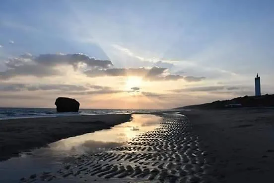 Entre pinos y playa