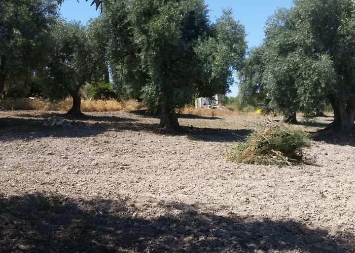 Serra Niedda Resort & Agriturismo