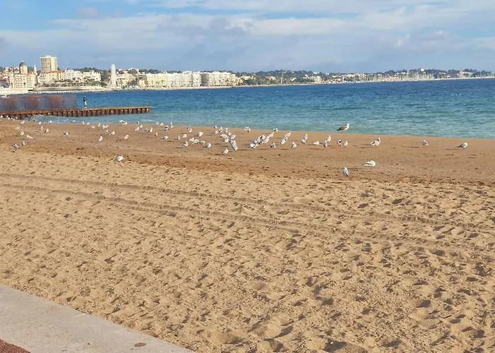T2 climatisé à 5 minutes à pied de la plage avec parking, piscine et wifi