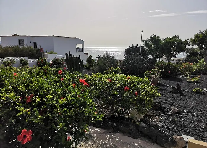Los Hibiscos 404