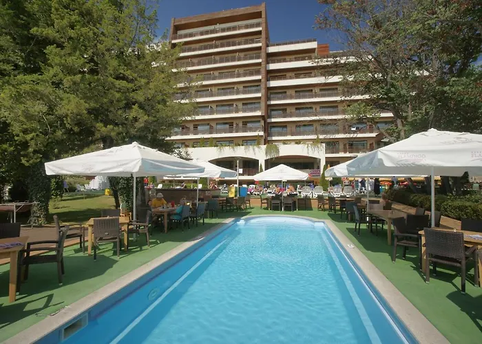 Flamingo Hotel 4*
