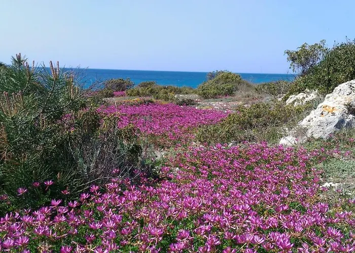 CasaMarè