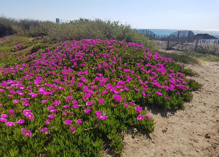 La Rose des Sables, T2 à la mer, terrasse et garage