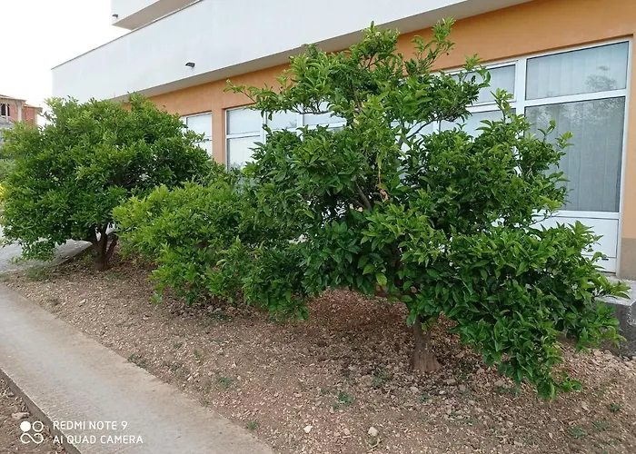 Apartmani Barisic