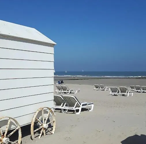 Scarphout Genieten Aan Zee