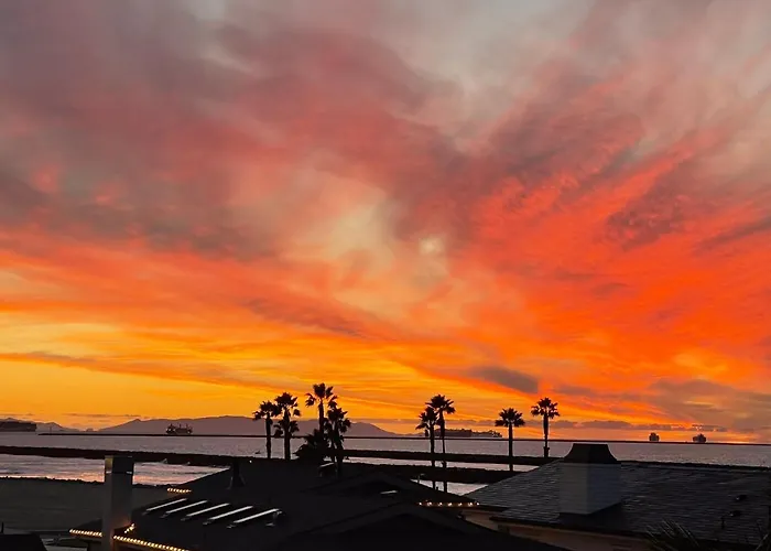 "California Dreamin'