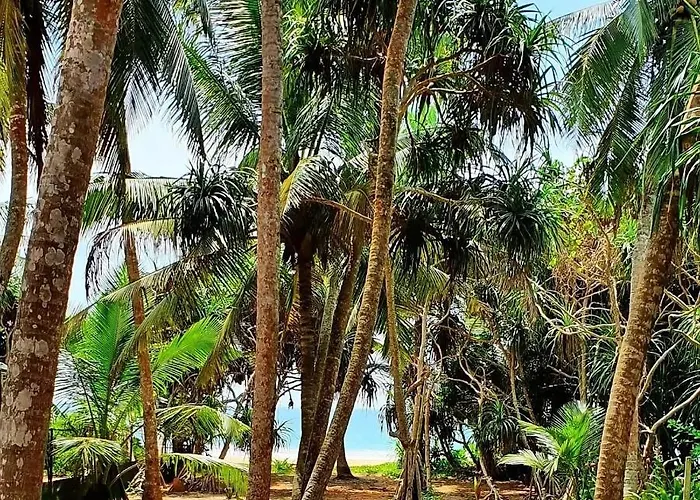 La Perla Bentota