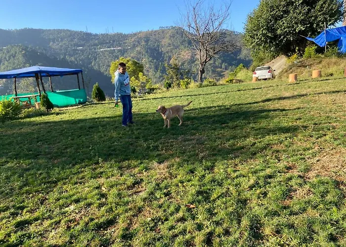 Golden Valley Cottages, Chail