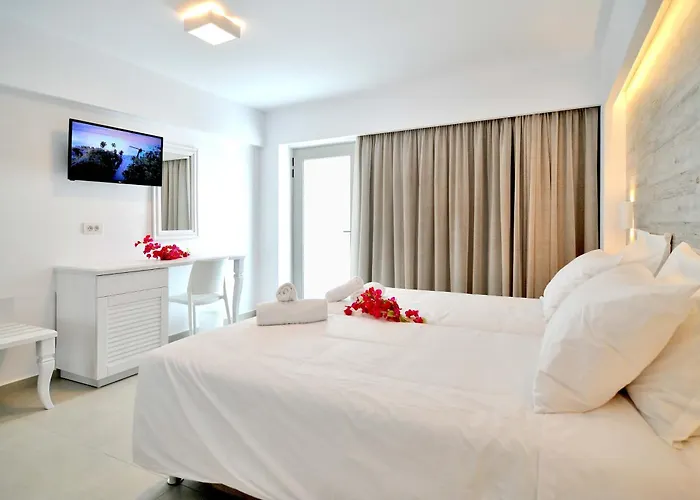 Apollon Windmill Boutique Hotel - Adults Only