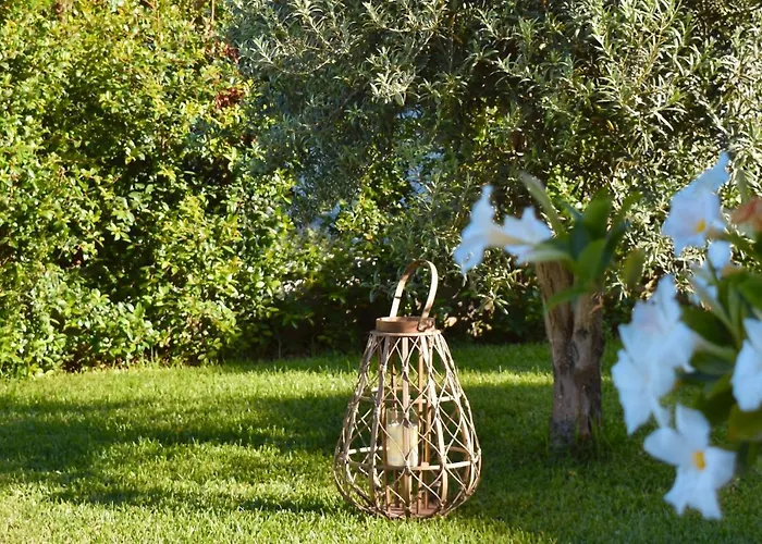 Nacari Home