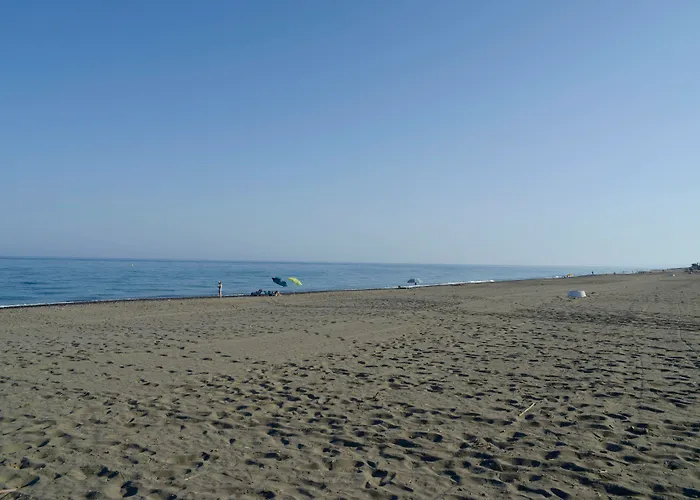 Trh Paraiso